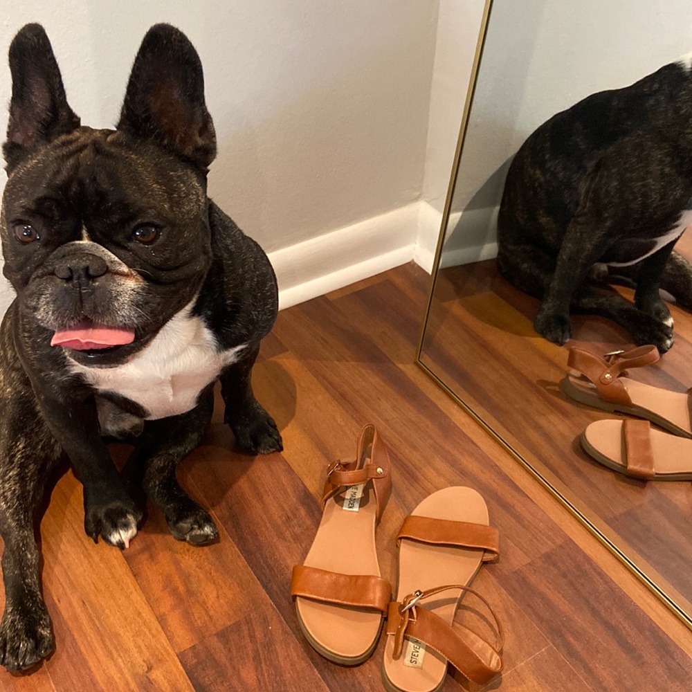 Tan sandals - Steve Madden - Size 7
